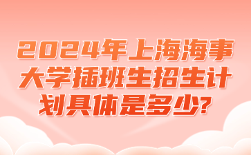 2024年上海海事大学插班生招生计划具体是多少?