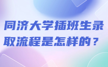 同济大学插班生录取流程是怎样的？